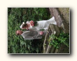 Click to enlarge
